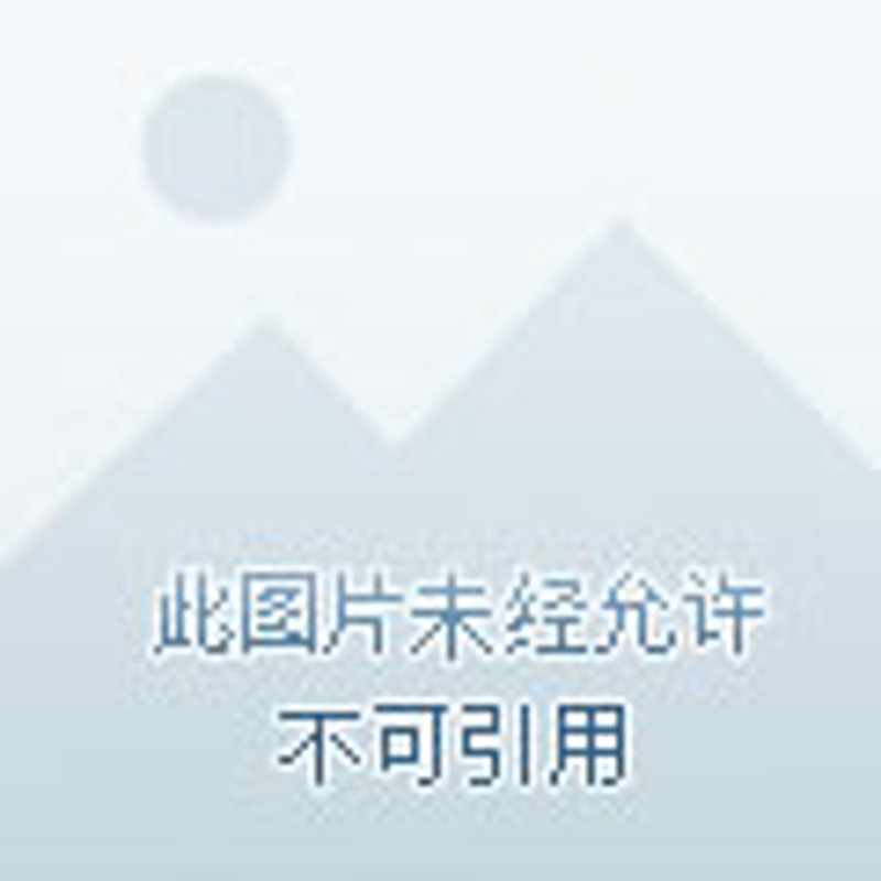 智能安全监控系统：新时代的安全守护者